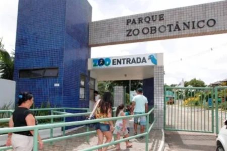 Zoológico de Salvador reabre sem leões, tigres ou elefantes