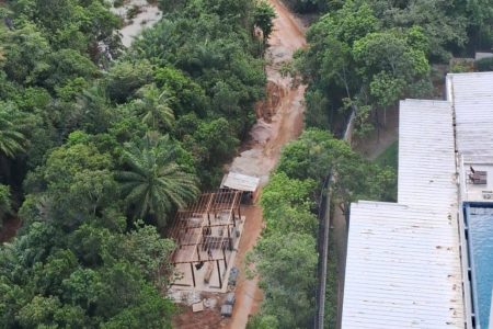 Imagens revelam desmatamento após obras de requalificação do Parque de Pituaçu, em Salvador