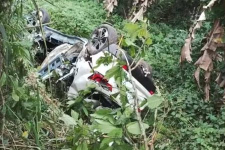 Mulher morre após carro sair da pista e cair em área de mata na Bahia Mulher morre após carro sair da pista e cair em área de mata na Bahia