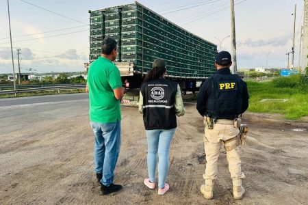 Caminhão com 2 mil frangos vivos é apreendido na BR-116 em Feira de Santana