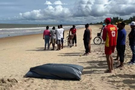 Turistas paulistas morrem afogados em praia do extremo sul baiano Turistas paulistas morrem afogados em praia do extremo sul baiano
