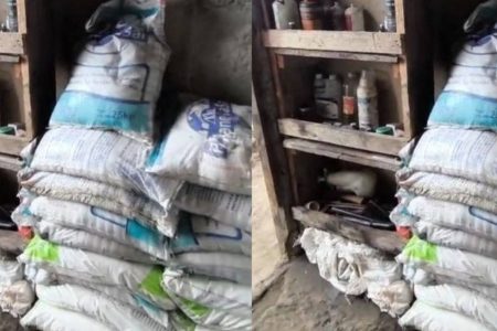 Trabalhador é resgatado de situação análoga à escravidão em fazenda no sul da Bahia