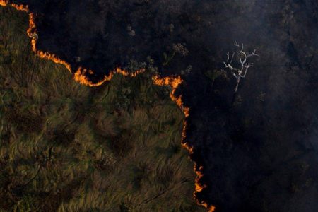 Desmatamento sobe 8,4% na Amazônia de agosto de 2024 a junho de 2025