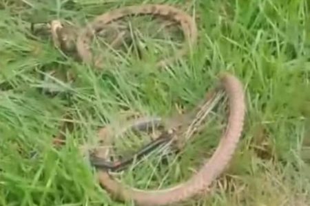 Adolescente morre atropelado enquanto andava de bicicleta na Bahia