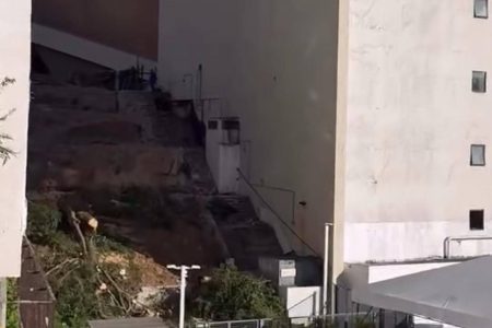 Moradores denunciam desmatamento em obra  do Teatro Castro Alves