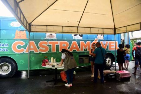Castramóvel realiza castrações gratuitas em bairros de Salvador