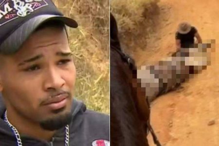 Tutor de cavalo que teve patas cortadas teme retaliação: “Vai pagar uma morte com outra?”