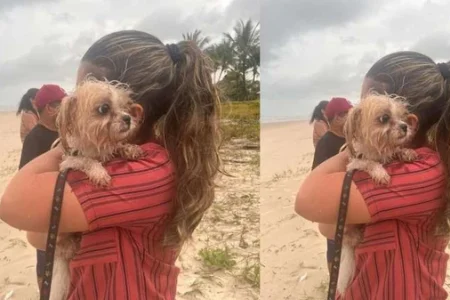 Ilhéus: Cachorro foi encontrado amarrado ao lado das três mulheres mortas Ilhéus: Cachorro foi encontrado amarrado ao lado das três mulheres mortas