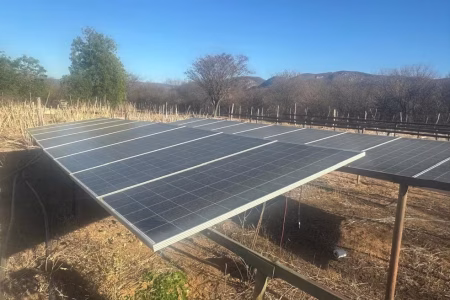 Polícia destrói plantação de maconha equipada com energia solar na Bahia