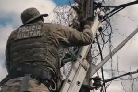 Jiboia é resgatada de fiação elétrica próxima a escola em Salvador