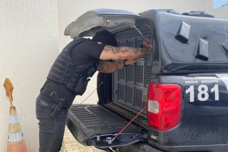 Homem é preso suspeito de causar morte da companheira idosa em Jaguaquara