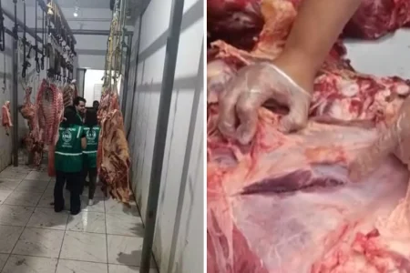 Cem quilos de carnes infectadas são apreendidos no sul da Bahia