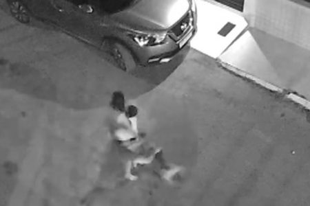 Criança de 4 anos é atacada por pitbull em Itabuna