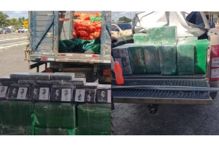 Motorista é preso com quase meia tonelada de cocaína escondida em carga de cebolas na Bahia