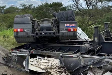 Motorista perde controle de caminhão após ataque de abelhas na BR-242