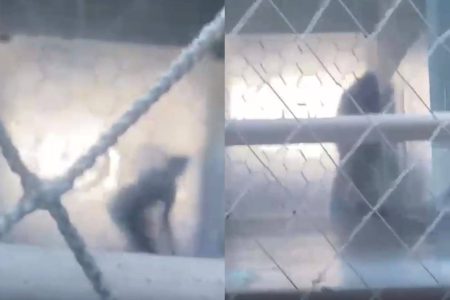 Estudantes são flagrados fazendo sexo em faculdade particular de Salvador Estudantes são flagrados fazendo sexo em faculdade particular de Salvador