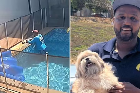 Piscineiro salva cão cego que se afogava em piscina de casa