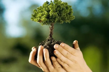 Quem paga pelo custo da preservação ecológica?