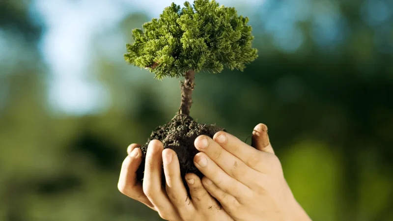 Quem paga pelo custo da preservação ecológica?