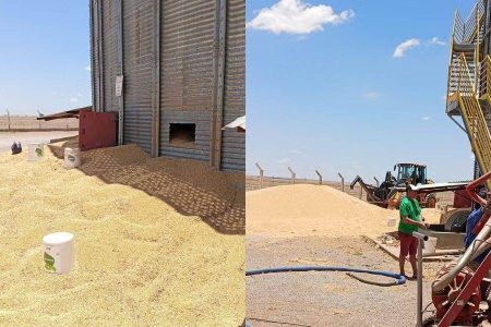 Trabalhador morre após cair e ser soterrado em silo de farelo de soja no oeste da Bahia Trabalhador morre após cair e ser soterrado em silo de farelo de soja no oeste da Bahia