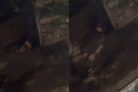 Casal é flagrado tendo relação sexual em rua do Imbuí