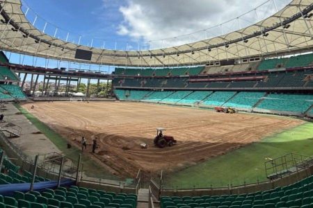 Após críticas, Fonte Nova inicia troca completa do gramado