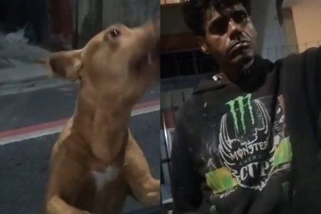 Homem em situação de rua é preso por usar cães para ameaçar moradores no bairro da Graça Homem em situação de rua é preso por usar cães para ameaçar moradores no bairro da Graça