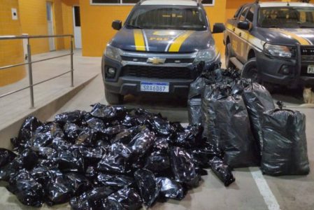 PRF apreende mais de 100 kg de maconha que seriam entregues em Salvador