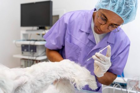 Mutirão oferece serviços gratuitos de saúde e cidadania na orla de Salvador