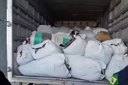 Quase 800 kg de maconha são apreendidos em caminhão na Bahia Quase 800 kg de maconha são apreendidos em caminhão na Bahia