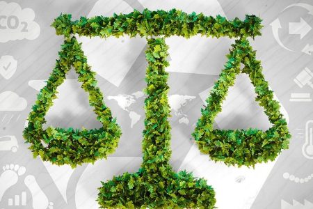 Lei geral do licenciamento ambiental: os vetos que causaram um retrocesso sustentável