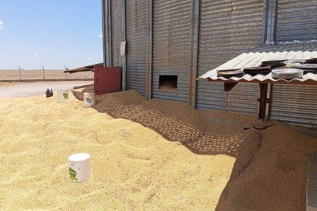 Trabalhador morre e outro fica ferido após acidente em silo de soja no oeste da Bahia