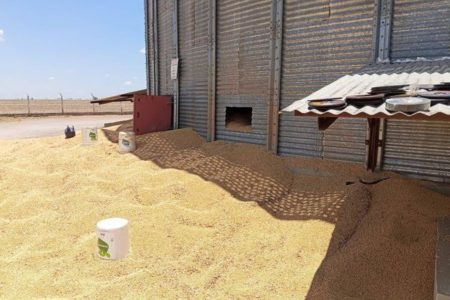Trabalhador morre e outro fica ferido após acidente em silo de soja no oeste da Bahia Trabalhador morre e outro fica ferido após acidente em silo de soja no oeste da Bahia