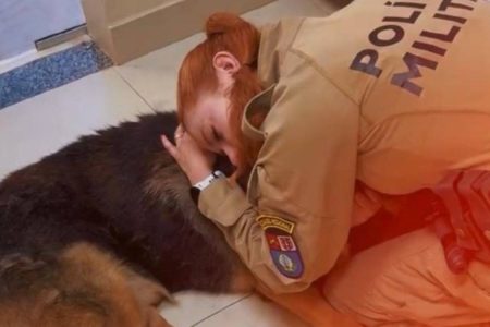 Policial militar se despede com emoção de cão policial submetido à eutanásia Policial militar se despede com emoção de cão policial submetido à eutanásia