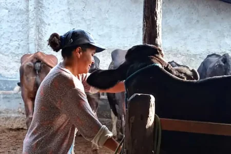 Dia Internacional das Mulheres Rurais destaca desafios e protagonismo feminino no campo