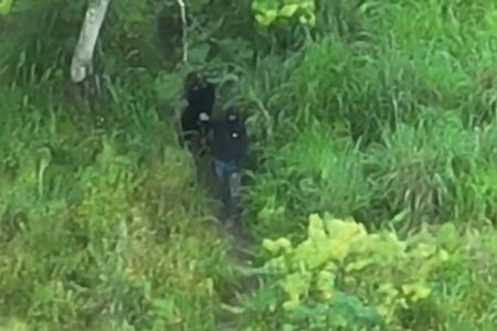 Operação contra o Comando Vermelho no Recôncavo Baiano deixa oito mortos; drones registram movimentação de suspeitos em área de mata