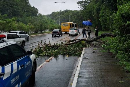 Foto: Reprodução/Limpurb/Seman