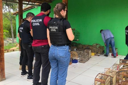 Polícia Civil fecha cativeiro ilegal e resgata aves silvestres na zona rural de Iguaí