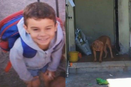 Menino de 4 anos morre após ser atacado por pitbull no Rio de Janeiro