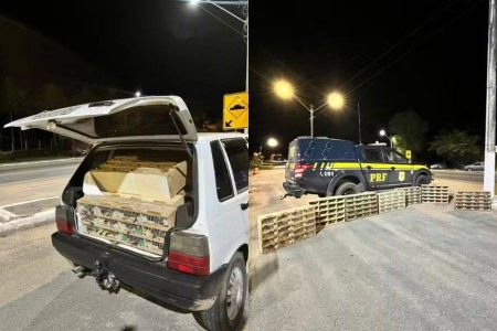 PRF apreende mais de 580 aves silvestres em trecho da BR-110 no interior da Bahia