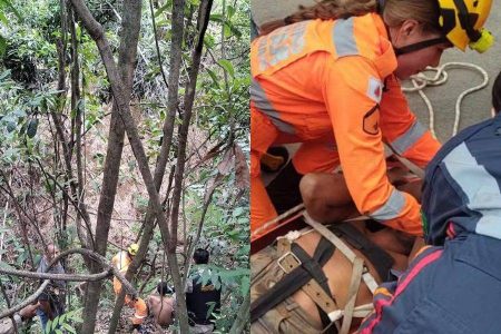 Homem sobrevive quatro dias à base de mangas após cair em buraco de 50 metros em Minas Gerais