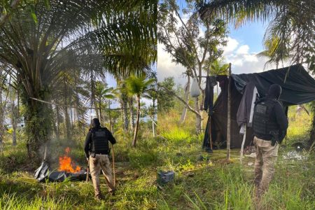Polícia desmonta acampamento de facção em área de mangue na região de Valença