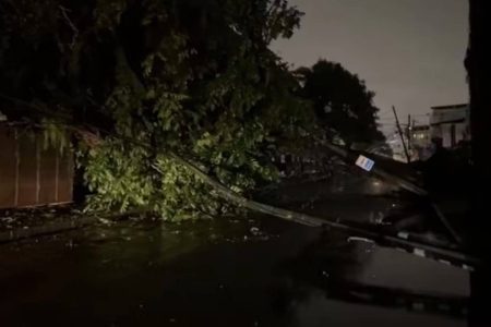 Árvore derruba poste e deixa moradores sem energia no Barbalho