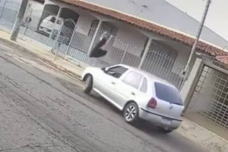 Vídeo: Mulher sobe em portão e escapa de ser atropelada por ex-marido