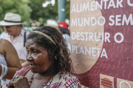 COP 30 em Belém: avanços e desafios