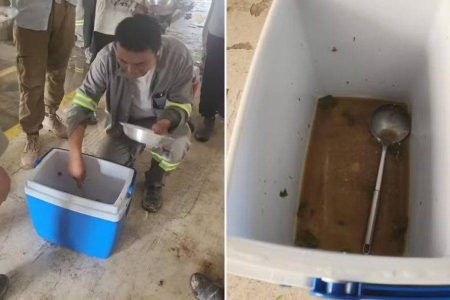 BYD firma acordo de R$ 40 milhões com MPT após caso de trabalho escravo na Bahia