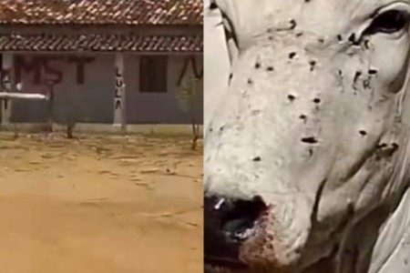 Fazenda em Planaltino é alvo de novas ocupações e violência por integrantes do MST