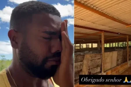 Davi Brito chora com galpão de galinhas pronto: ‘riram, zombaram, mas não desisti’