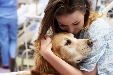 Câmara de Salvador aprova projeto que autoriza entrada de pets em hospitais públicos e privados