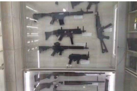 Operação interestadual desarticula esquema de armas e apreende arsenal com mais de 700 peças